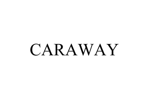 Caraway Cookware Review + January 2024 Discount Code - Why You
