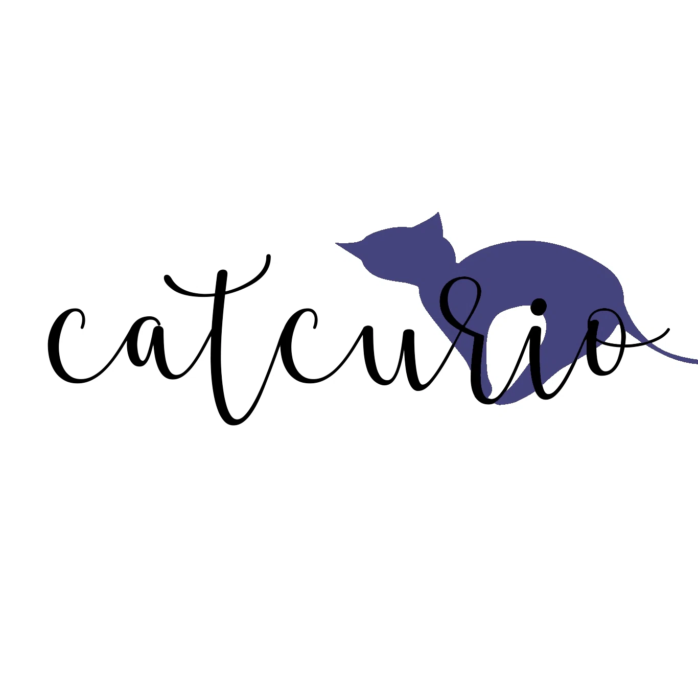 CatCurio logo