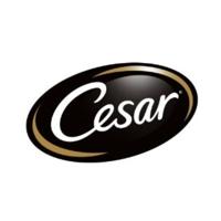Cesar promo code