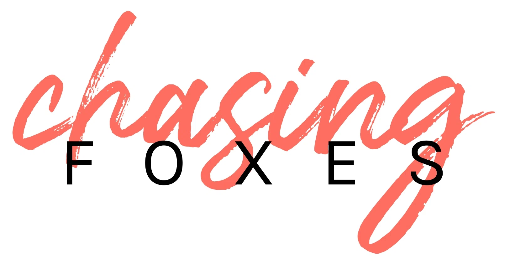 Chasing Foxes Shop logo