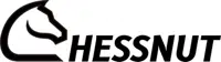 Chessnut logo