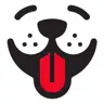 CoolerDog logo