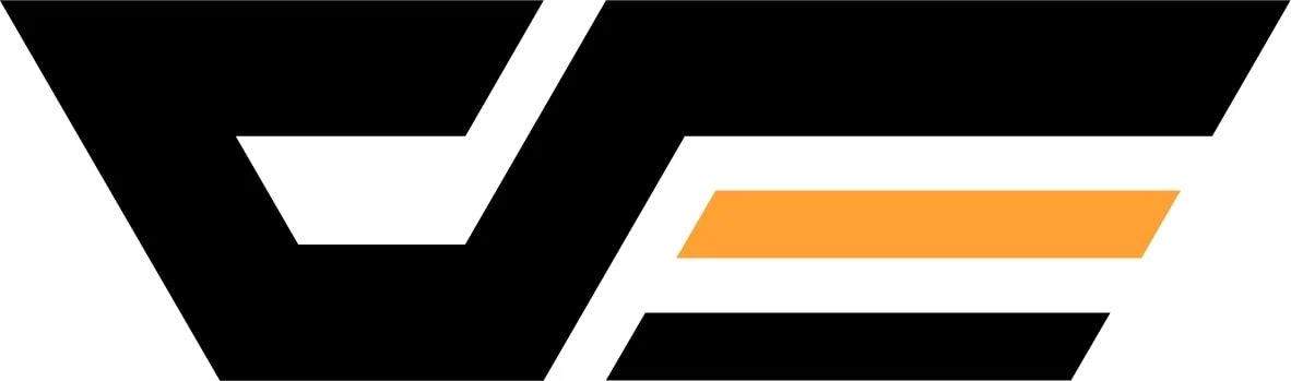 darkFlash logo