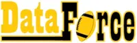 DataForce Fantasy Football logo