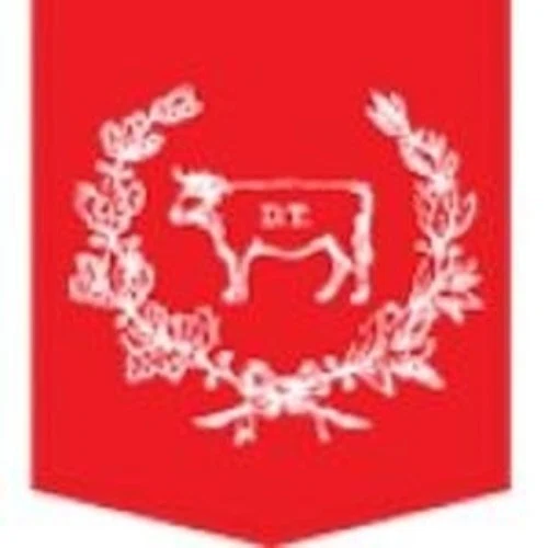 Del Toro logo
