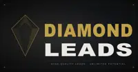 Diamond Leads logo