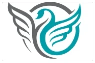 Dignitii Activewear logo
