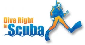 Dive Right in Scuba logo