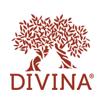 Divina Marketplace promo code
