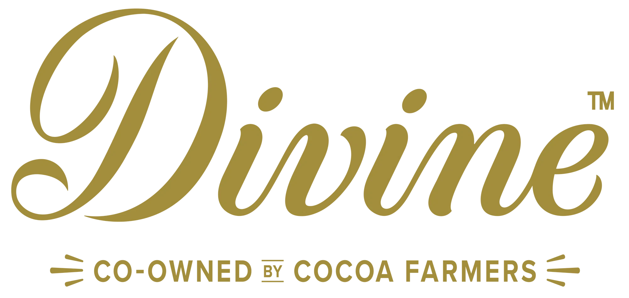 Divine Chocolate logo