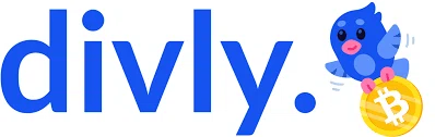 Divly logo
