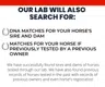 DNA My Horse logo