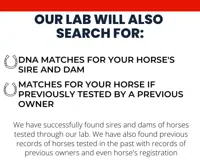 DNA My Horse logo