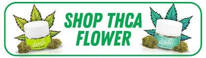 Dodi Hemp logo