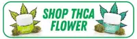 Dodi Hemp logo