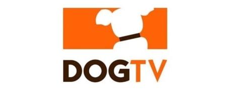 Dogtv coupon code