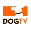 Dogtv promo code