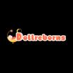 Dollreborns promo code