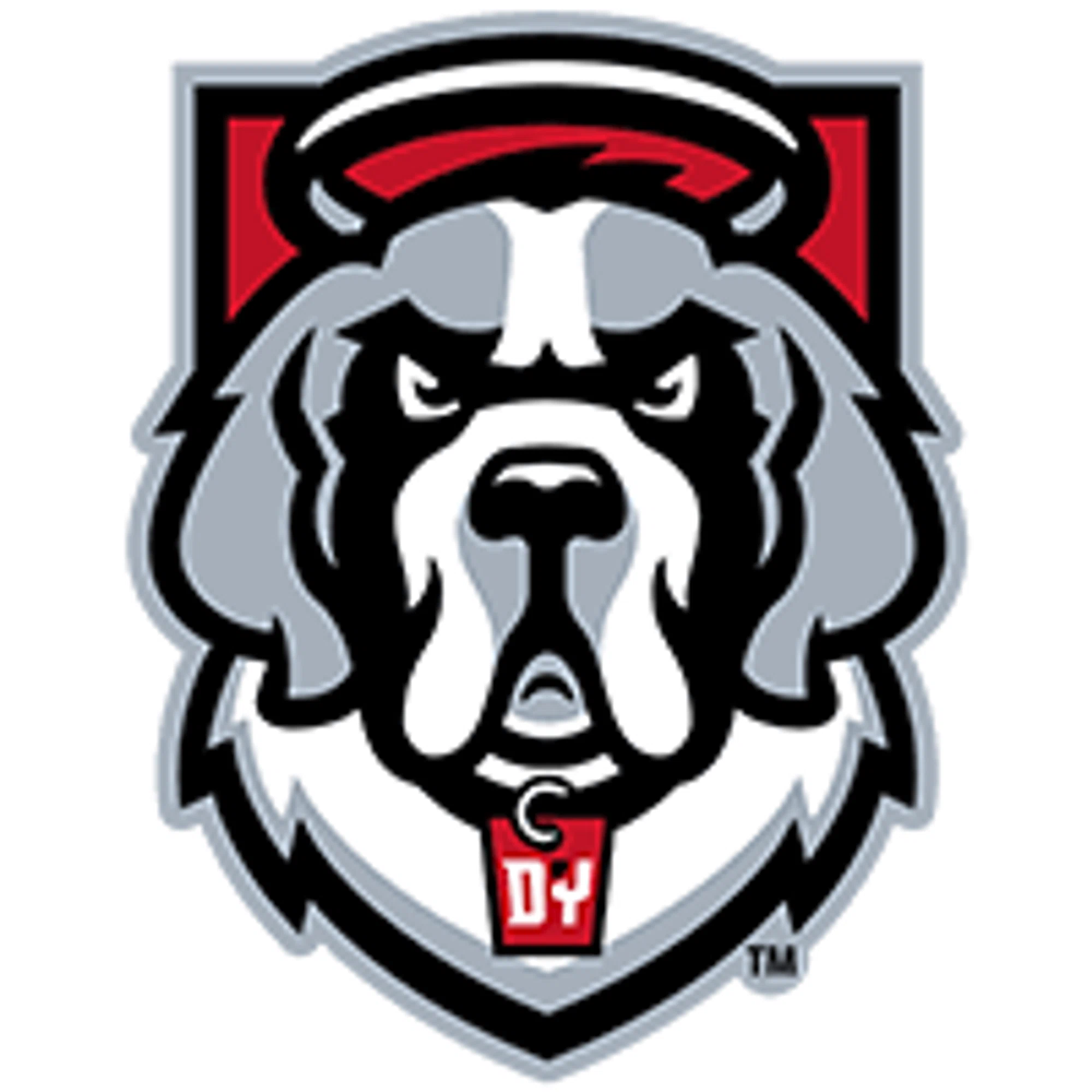D'youville Saints logo