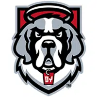 D'youville Saints logo