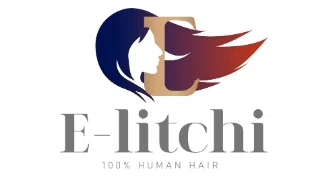 E-litchi logo