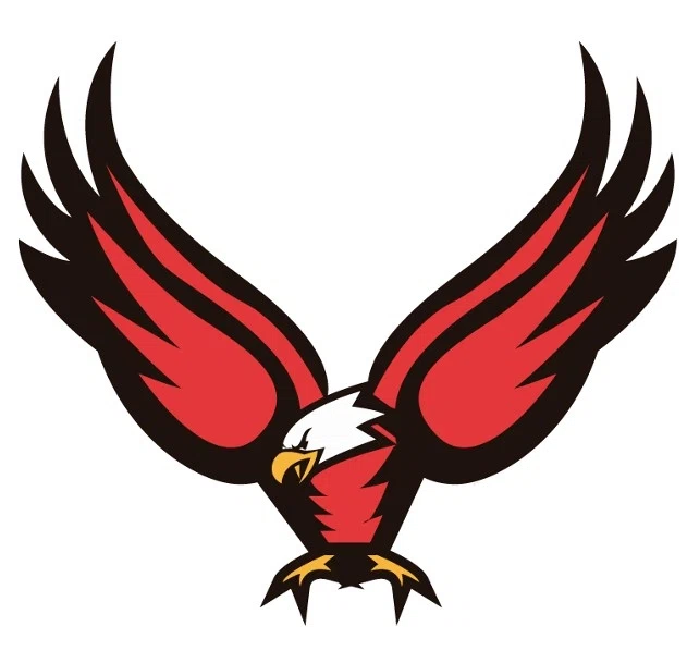 Eagle Lights logo