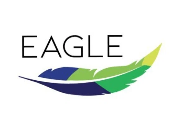 Eagle Supplements logo