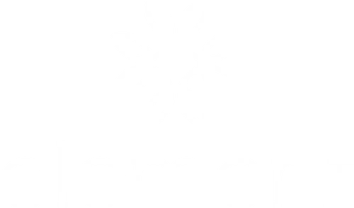 Element Original logo