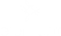 Element Original logo