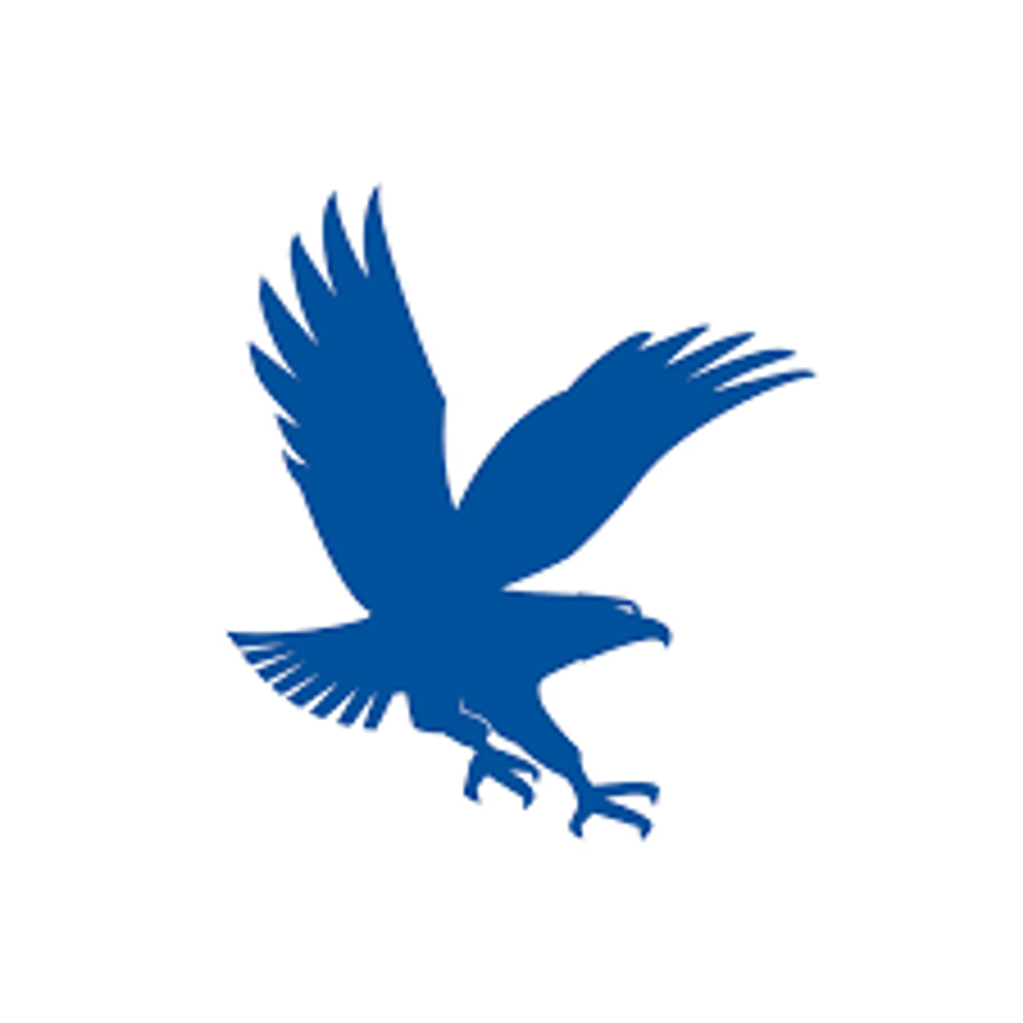 Embry-Riddle Eagles logo