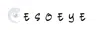 Esoeye logo