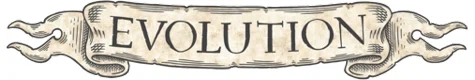 The Evolution Store logo