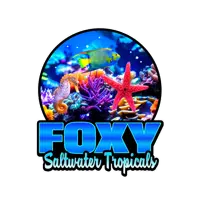 Foxy Saltwater Tropicals logo