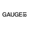 Gauge81 logo