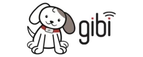 Gibi promo code