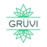 Grüvi logo