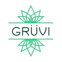 Grüvi logo