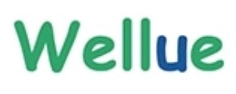 Wellue discount code