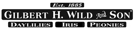 Gilbert H. Wild logo