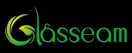 Glasseam promo code