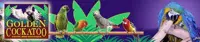 Golden Cockatoo logo