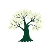 GVA Wood logo