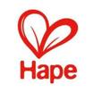 Hape Toys promo code