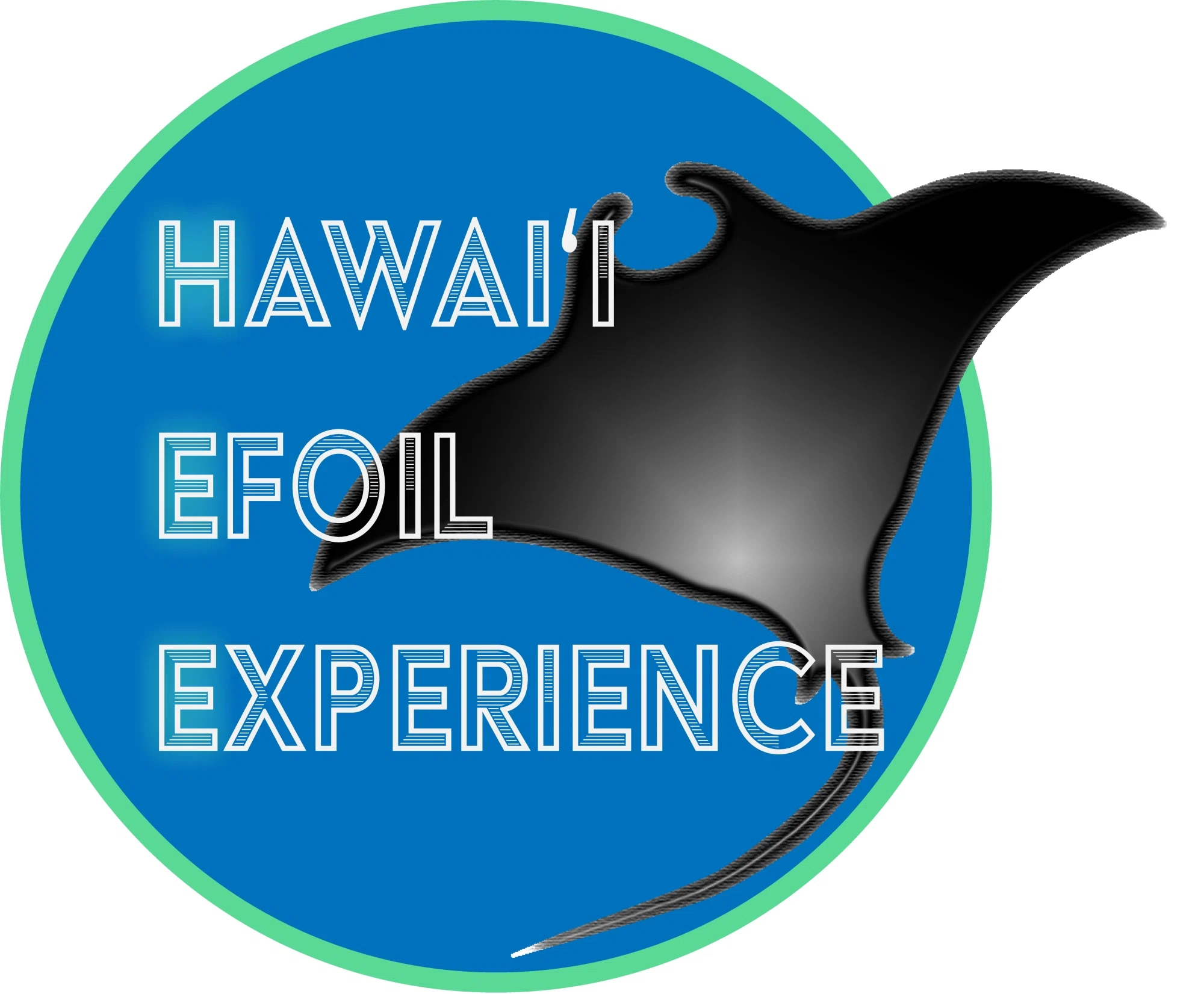 Hawaii Efoil Experience promo code