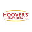 Hoover's Hatchery coupon code