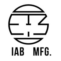 I AM BECOMING logo