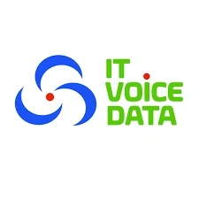 IT VOICE DATA logo