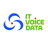 IT VOICE DATA logo