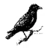 J. Crow's logo