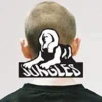 Jungles Jungles logo